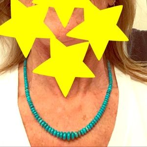 Genuine turquoise bead necklace